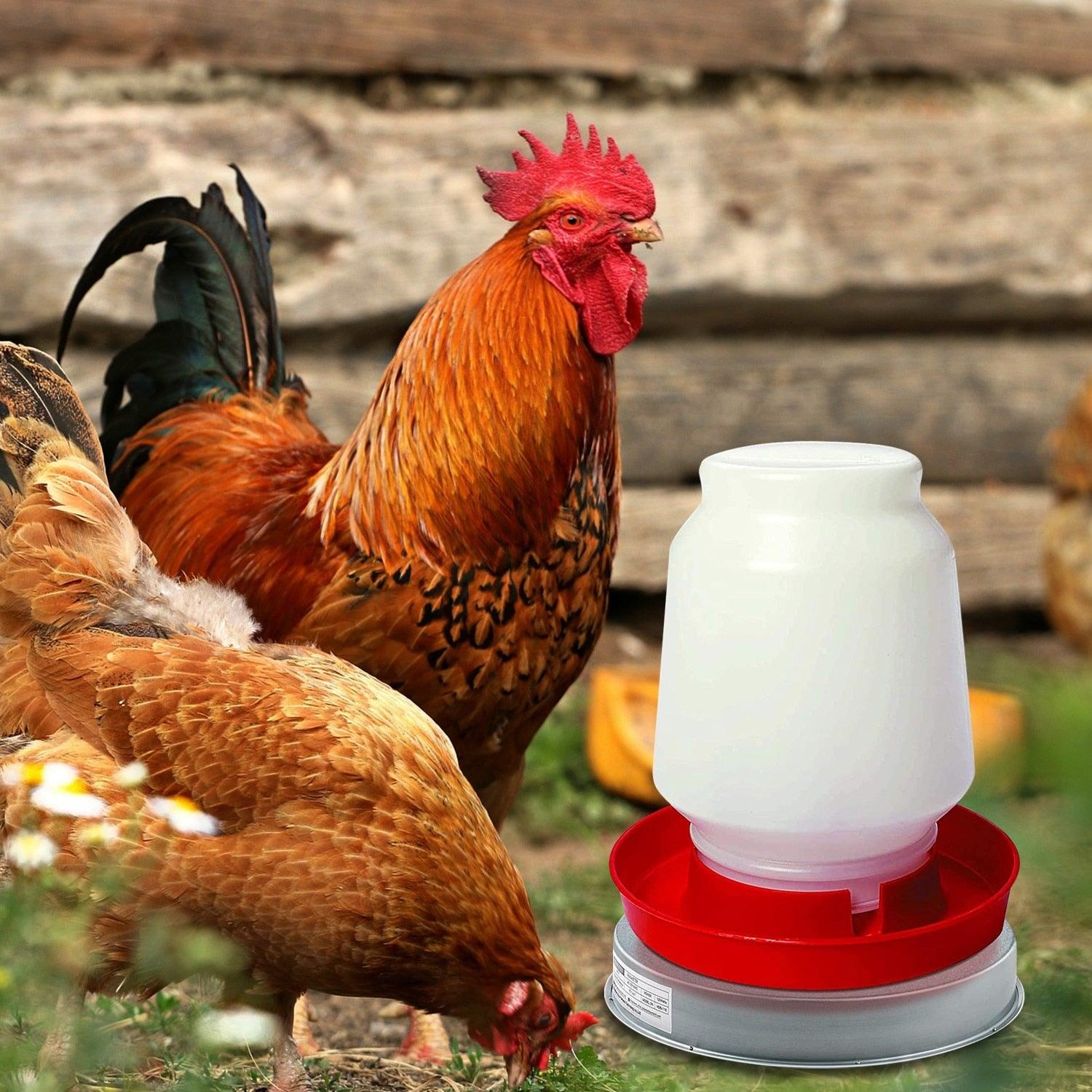 Poultry Waterer Drinker Heated Base Chicken Water Heater - Etyn Online {{ product_tag }}