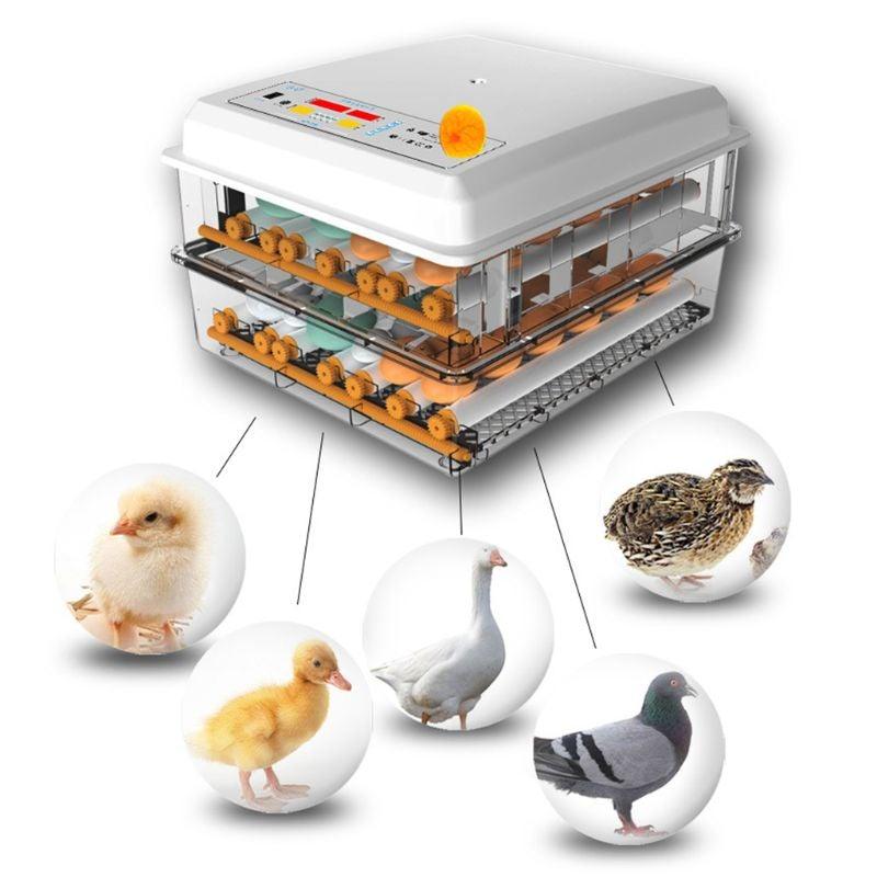 220V Eggs Incubator Brooder Automatic Farm Incubation Tools - Etyn Online {{ product_tag }}