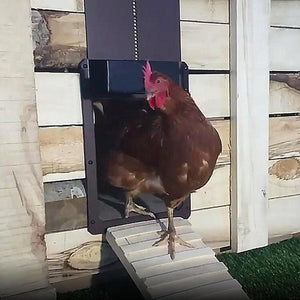 Automatic Chicken Coop Door Light-Sensitive Automatic Chicken House Door - Etyn Online {{ product_tag }}