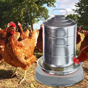 Poultry Waterer Drinker Heated Base with Thermostat Chicken Water Heater for Winter Deicer Heated Base for Coop Accessories - Etyn Online {{ product_tag }}