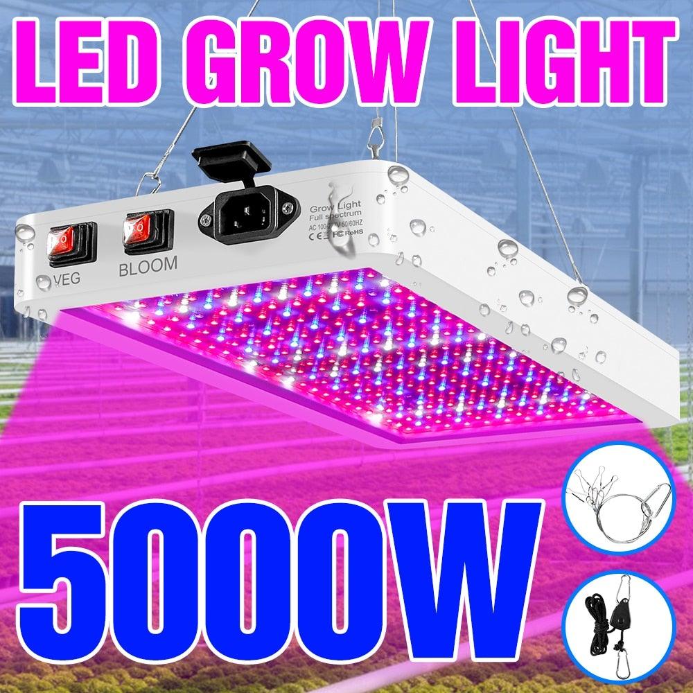 LED Plant Lamp 220V Grow Light Phyto lamp - Etyn Online {{ product_tag }}