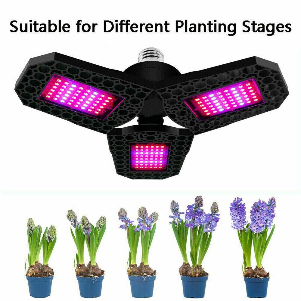 Full Spectrum 144LED Grow Light Plant Growing Lamp for Indoor Plants Hydroponics - Etyn Online {{ product_tag grow light }}