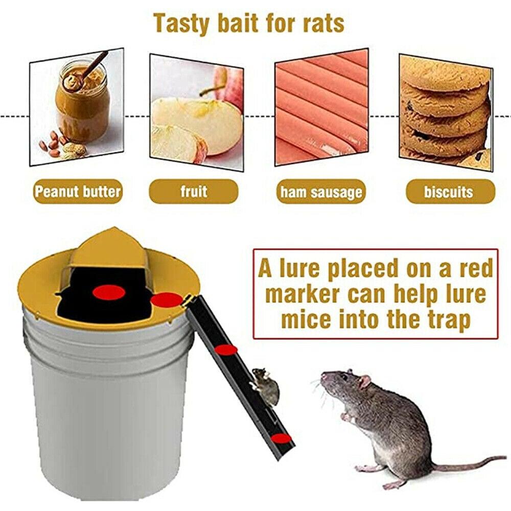 Flip N Slide Bucket Lid Mouse Trap - Etyn Online {{ product_tag }}