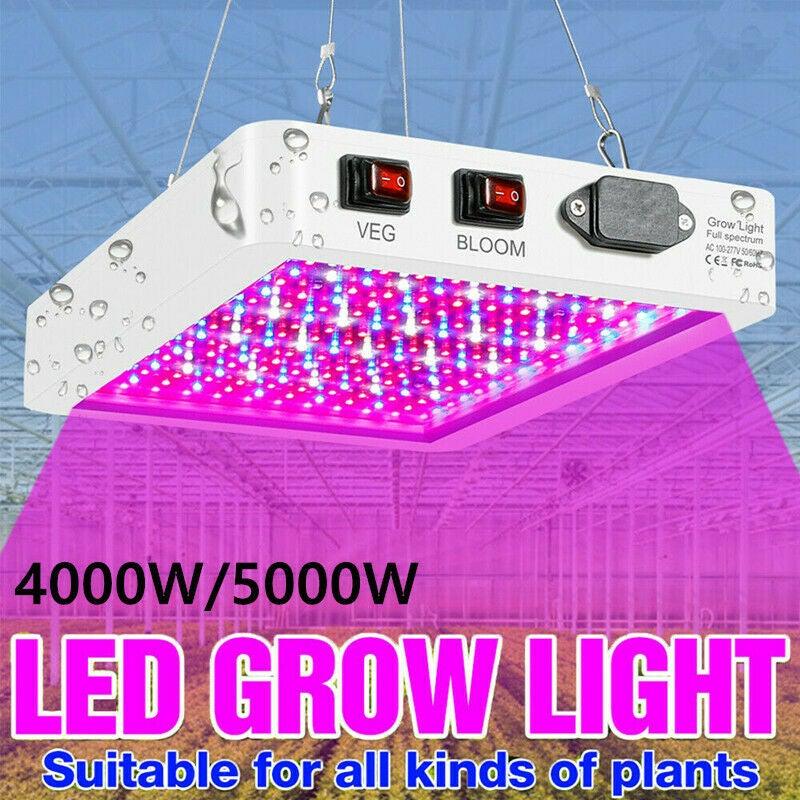 4000W/5000W LED Grow Lights Full Spectrum Indoor Hydroponic Veg Flower Plant Lamp - Etyn Online {{ product_tag }}