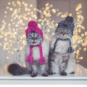Winter Warm Dog Pet Hats Knitting Windproof Bulldog Puppy Hat Cat Hat Fluffy - Etyn Online {{ product_tag }}