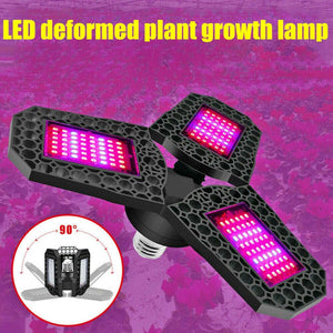 Full Spectrum 144LED Grow Light Plant Growing Lamp for Indoor Plants Hydroponics - Etyn Online {{ product_tag grow light }}