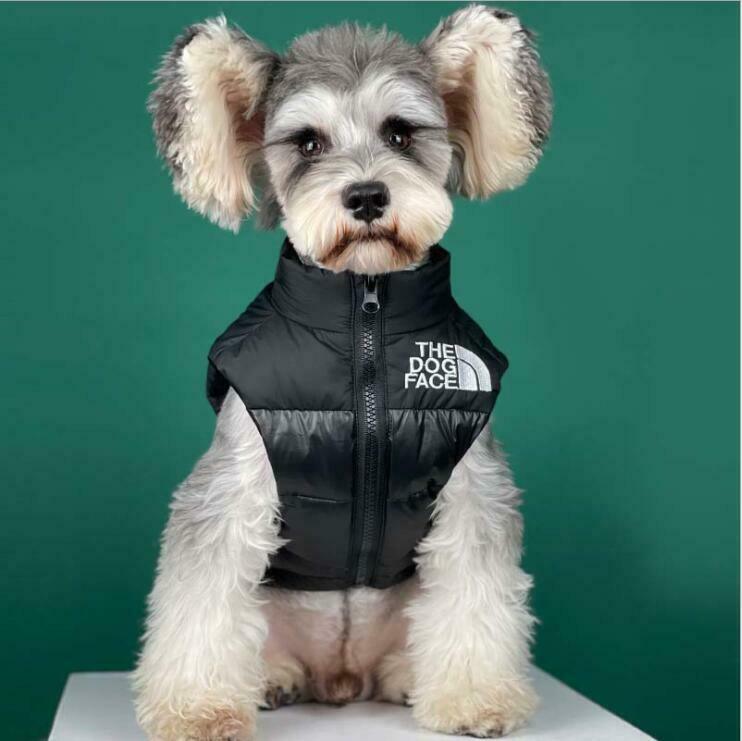 Black Padded Winter Warm Down Vest for Small Dogs - Etyn Online {{ product_tag }}